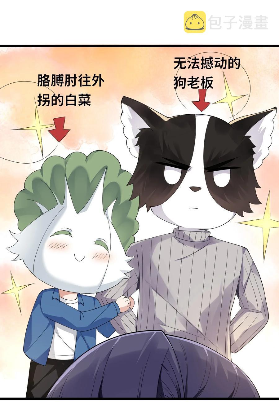 044 可不可以17