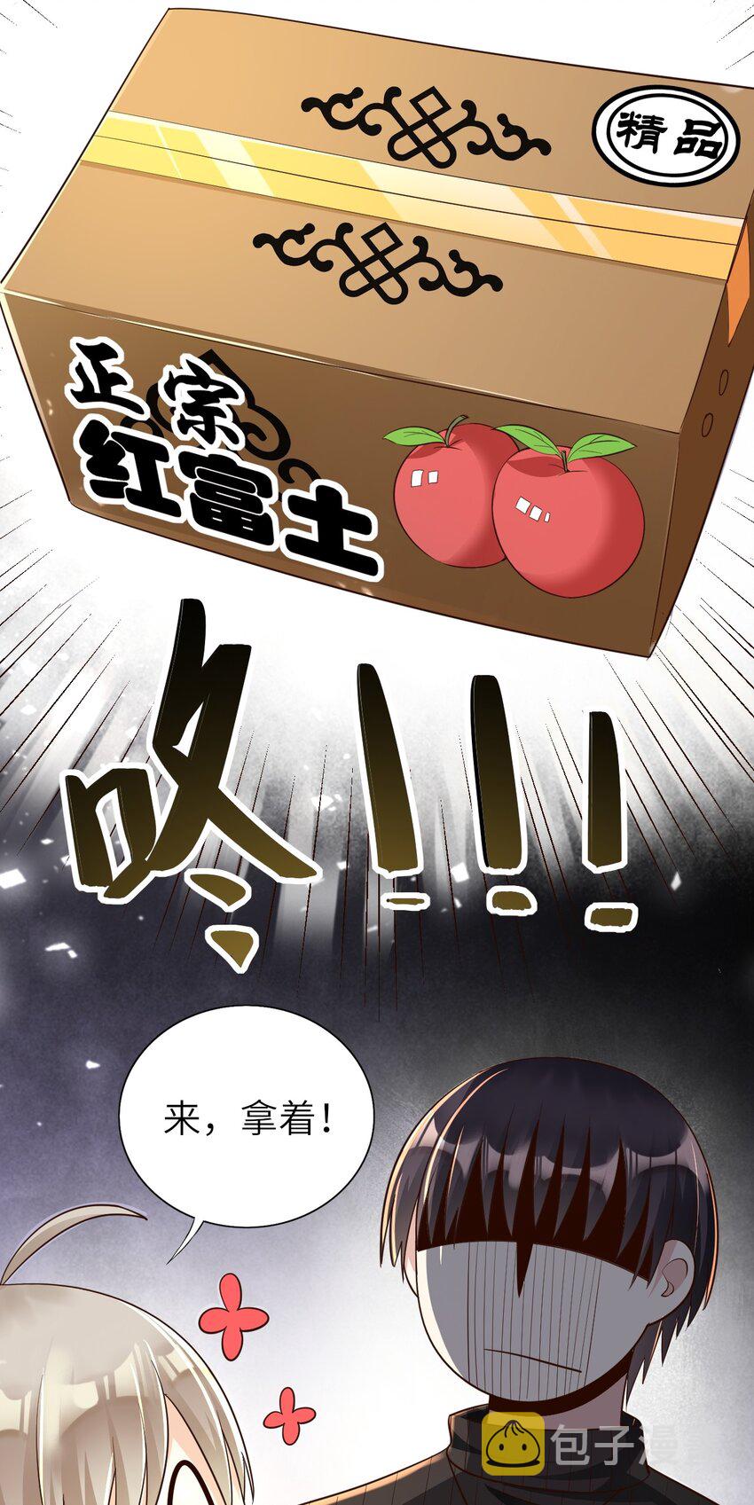 017 苹果含义34