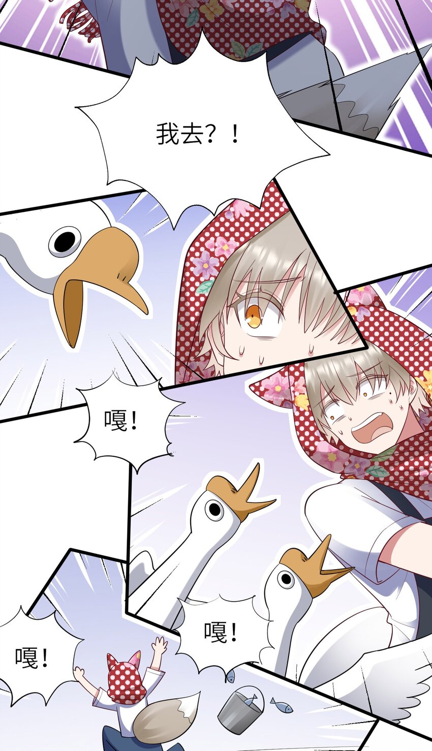 062 综艺体质27