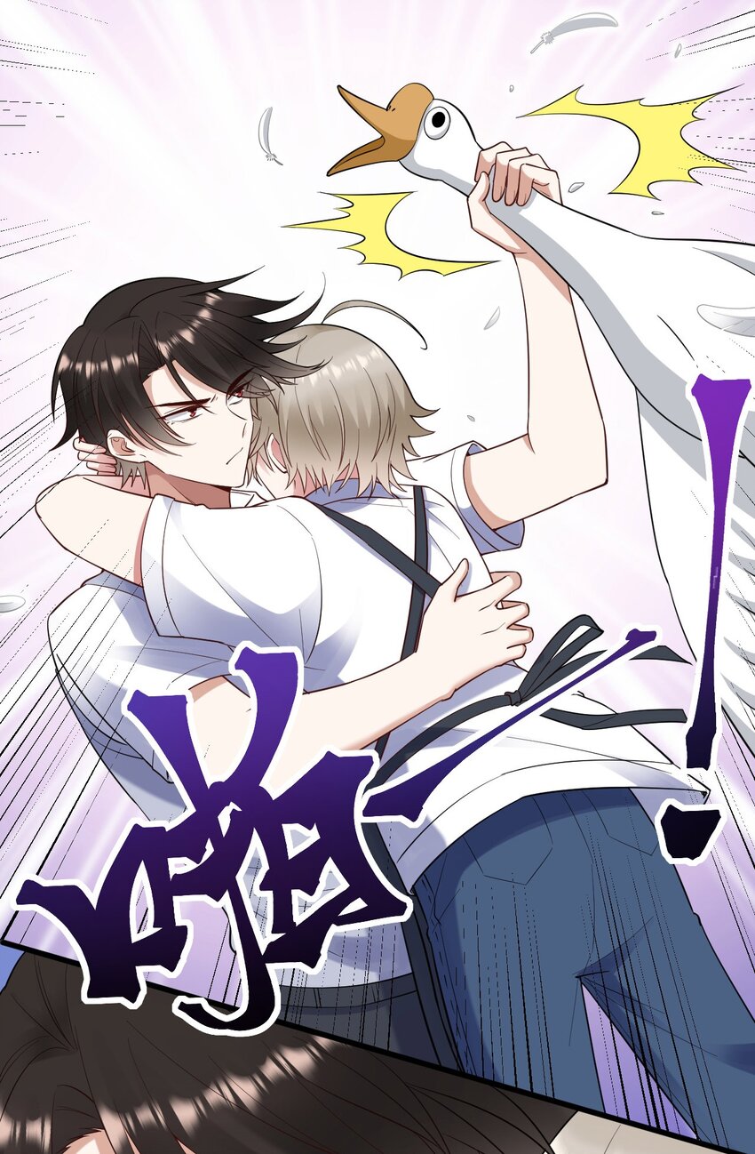 062 综艺体质39