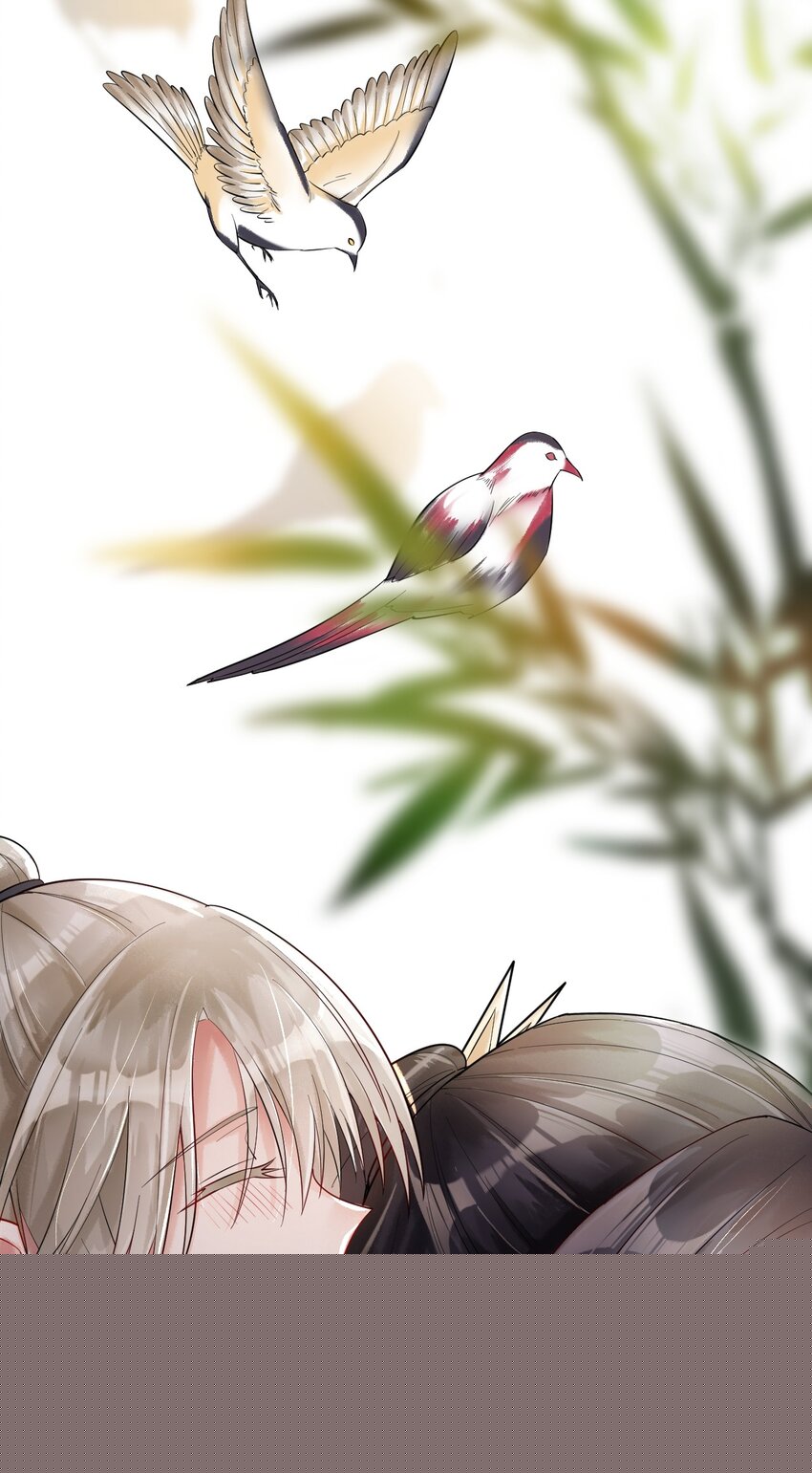 017 苹果含义13