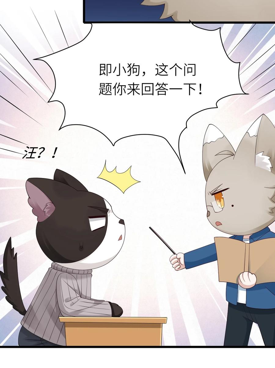 045 只想rua他13