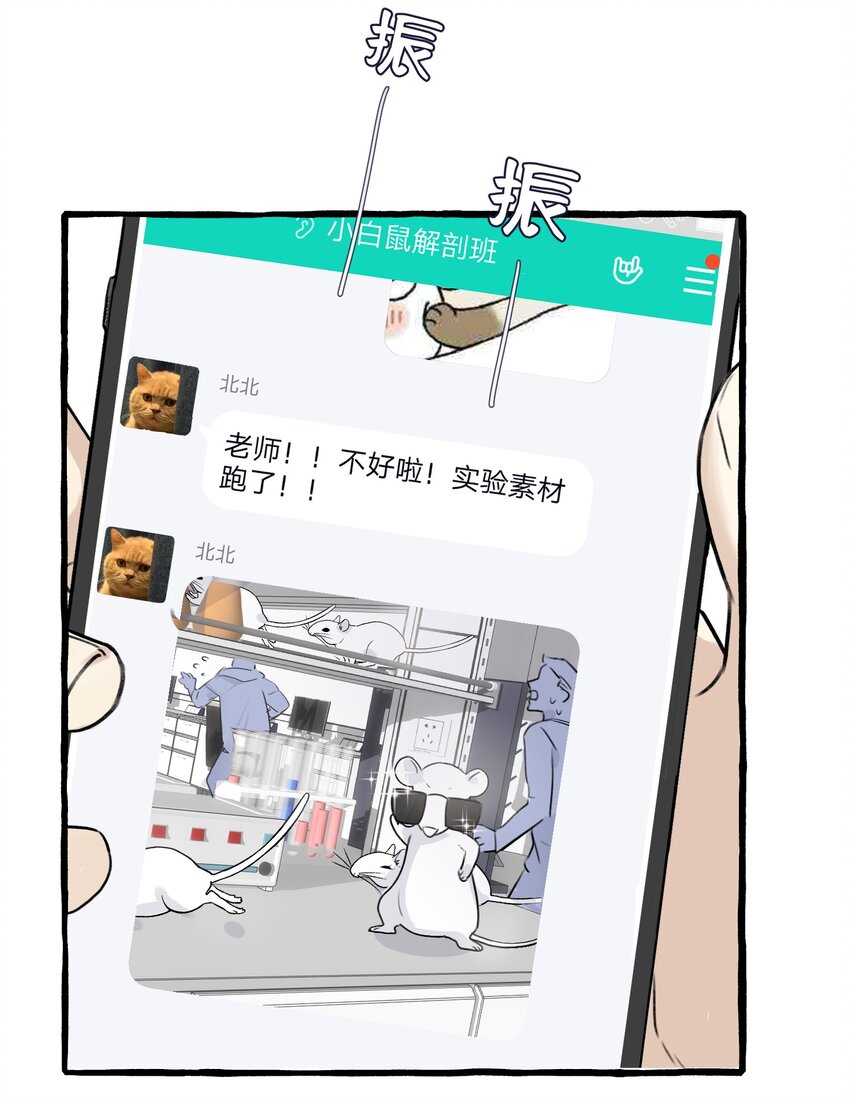 001 骑士失业了！31