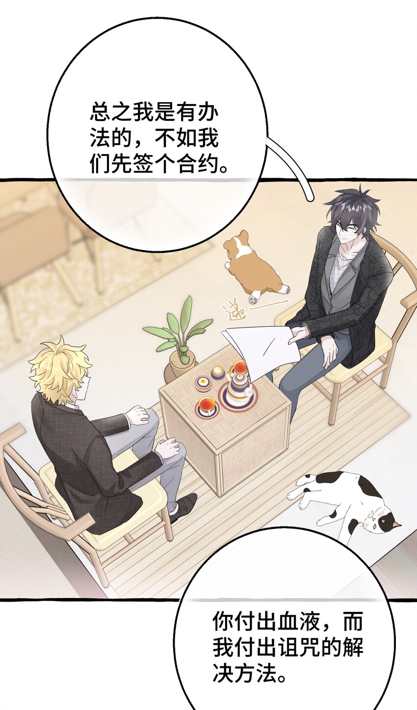 016 这次轮到你了20