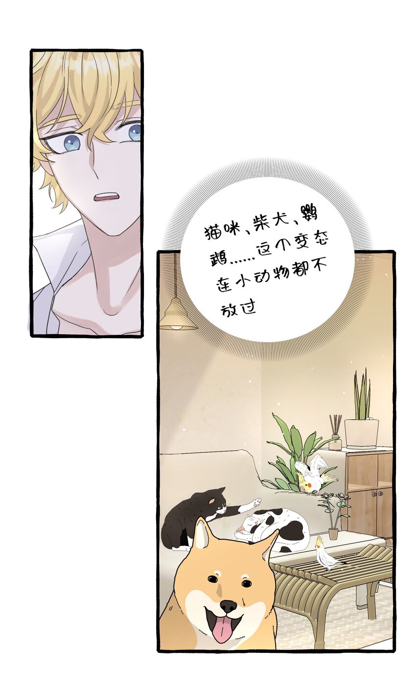 016 这次轮到你了6