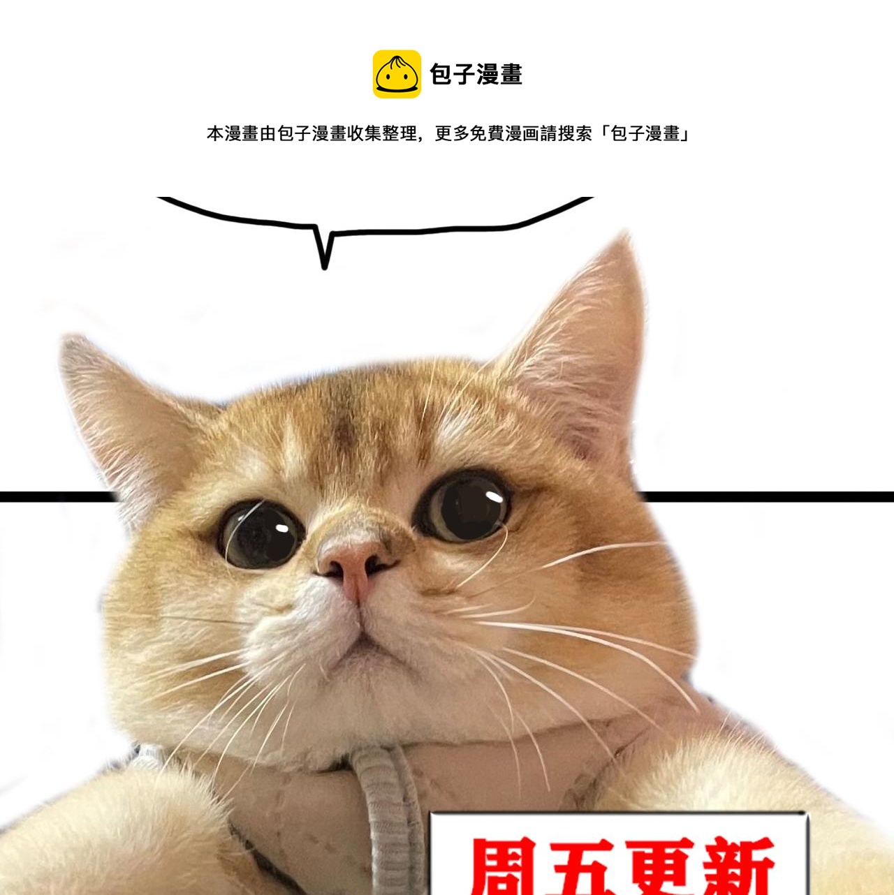 第43话  神教会篇（完）76