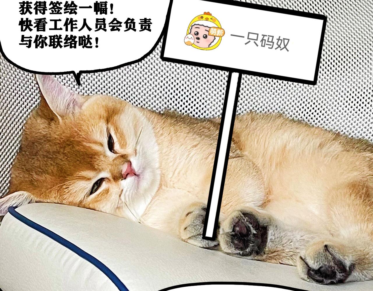 第17话 你也是漏洞人吧！153