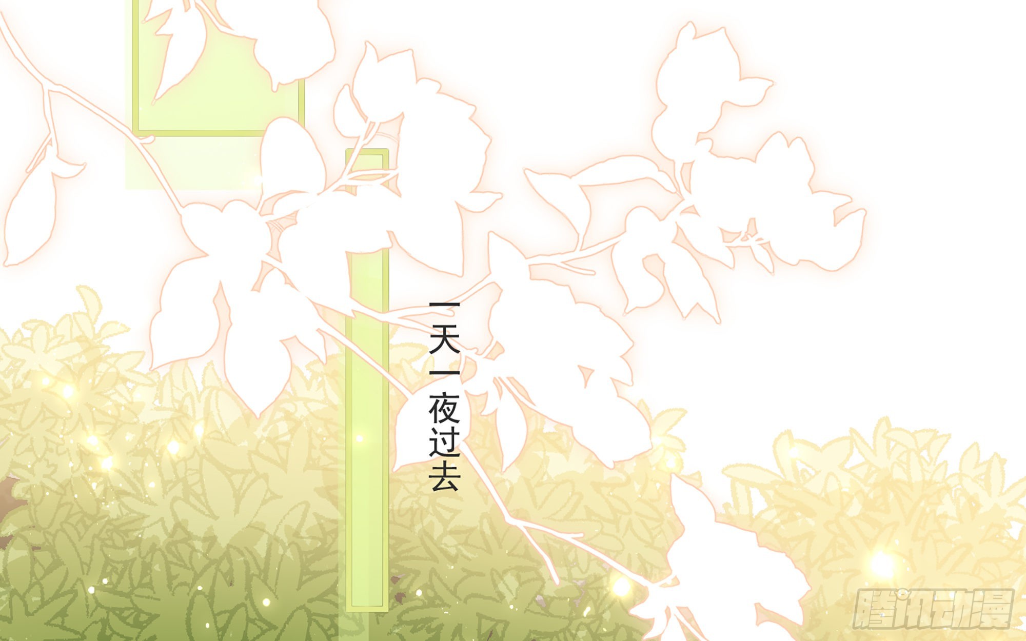 65 不许跑路79