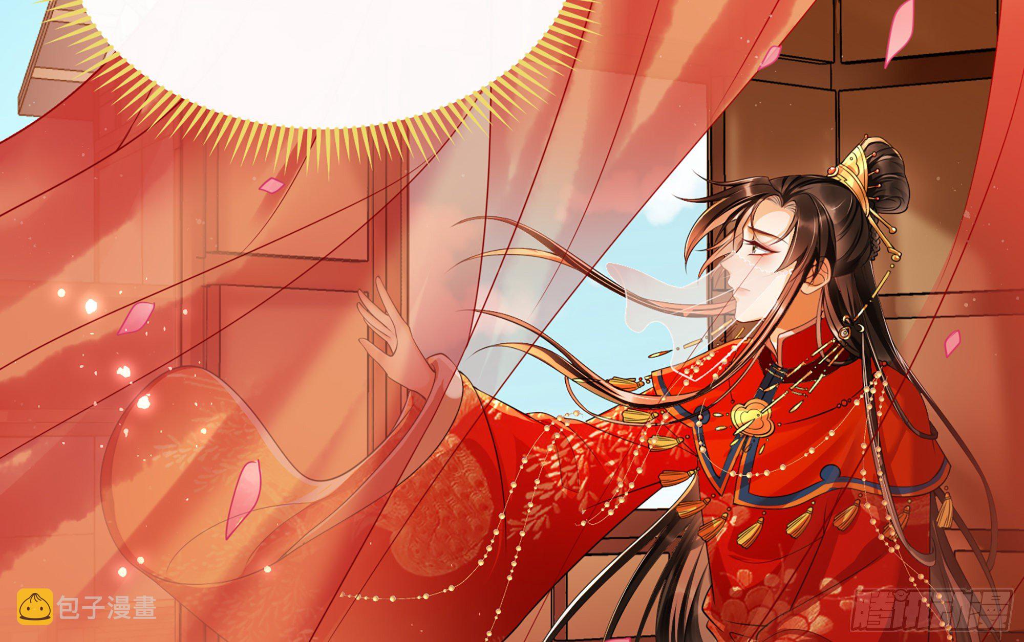 01 替嫁入宫13