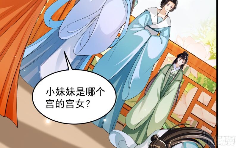 41 阴谋41