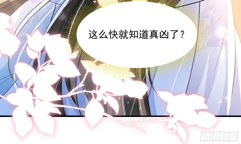 41 阴谋79