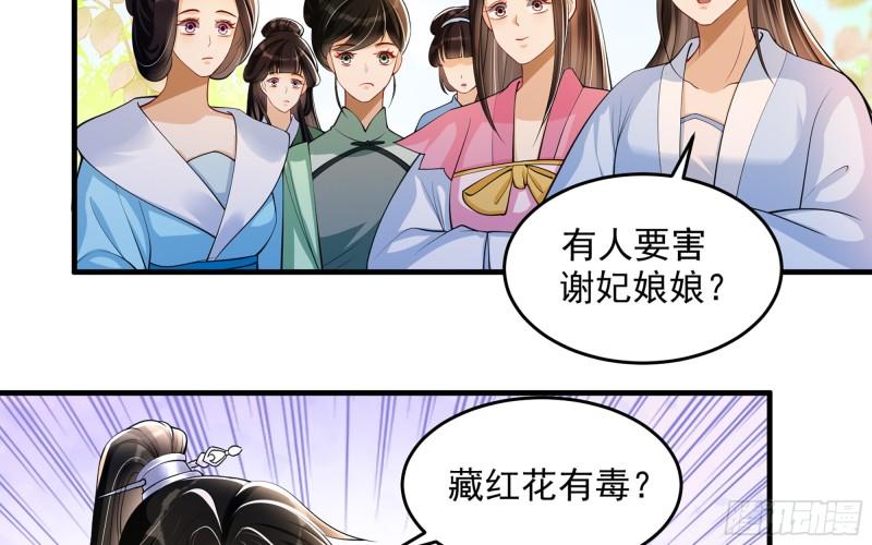 41 阴谋29