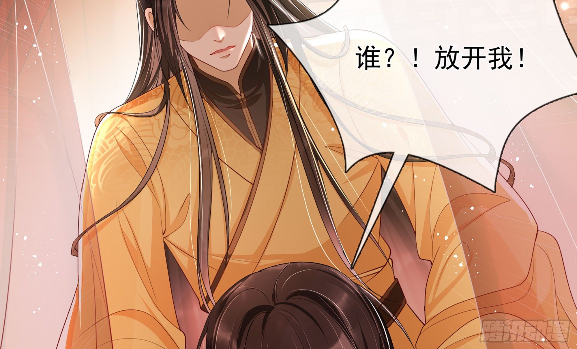 01 替嫁入宫100
