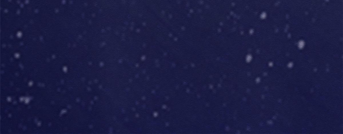 第16话 他竟然亲自来救我了16