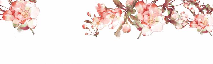第4话    收留66