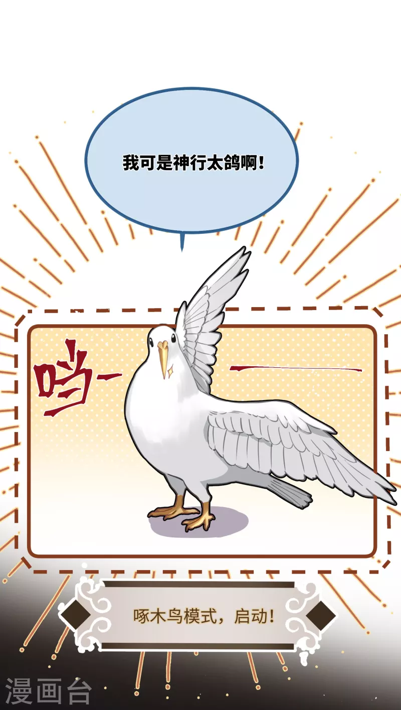 第74话 主人，不用再担心11