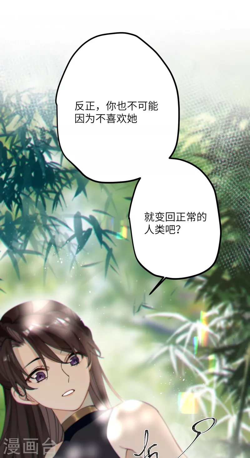 第41话 二毛的烦恼11