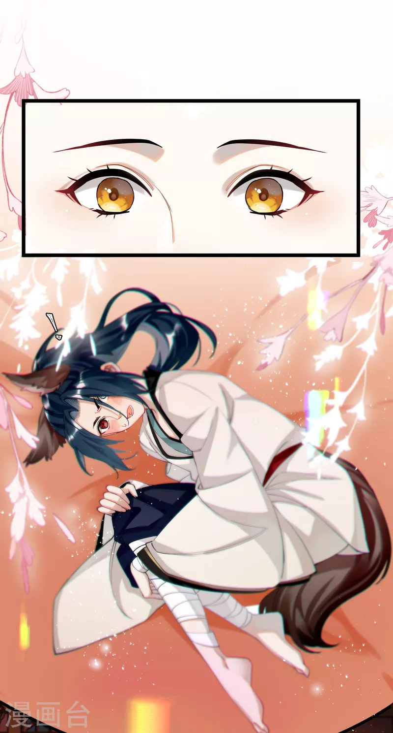 第48话 二毛的弱点10