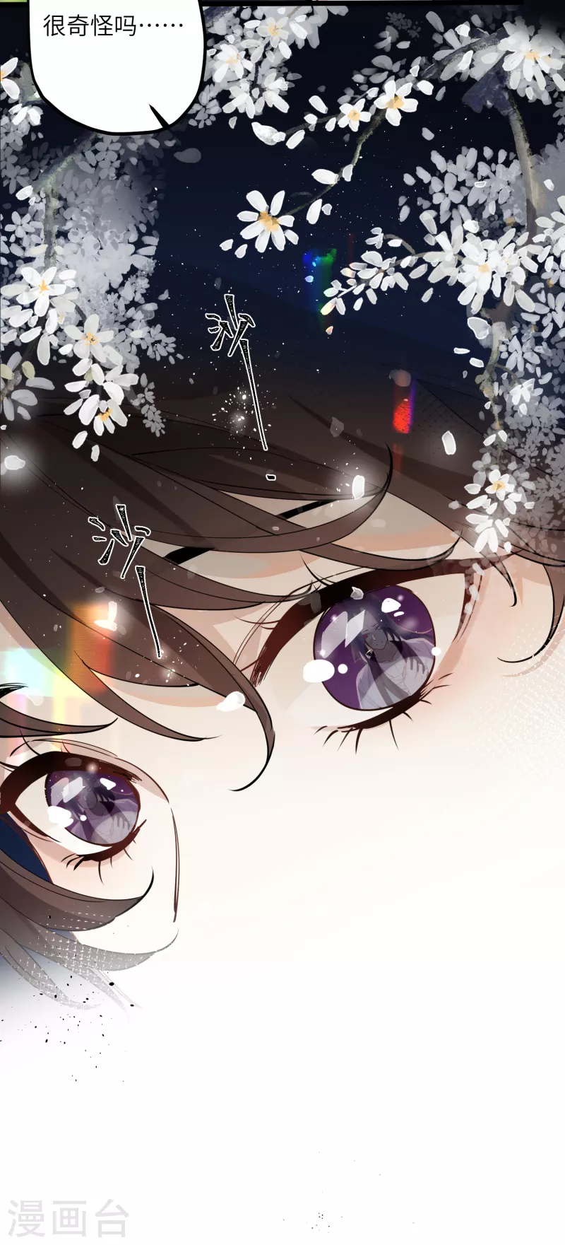 第41话 二毛的烦恼8