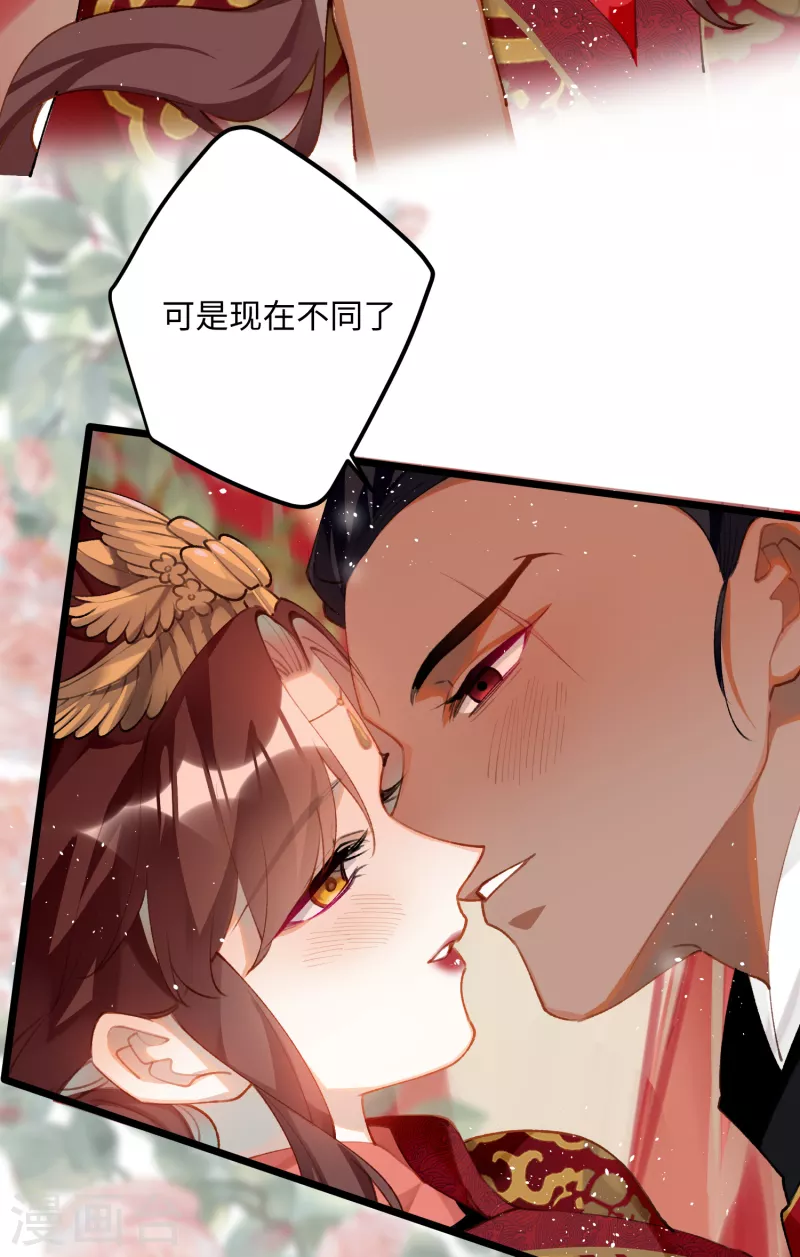 第99话 洞房花烛17