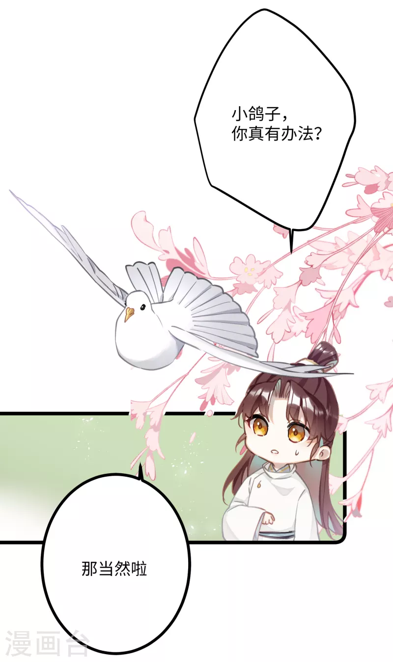 第74话 主人，不用再担心10