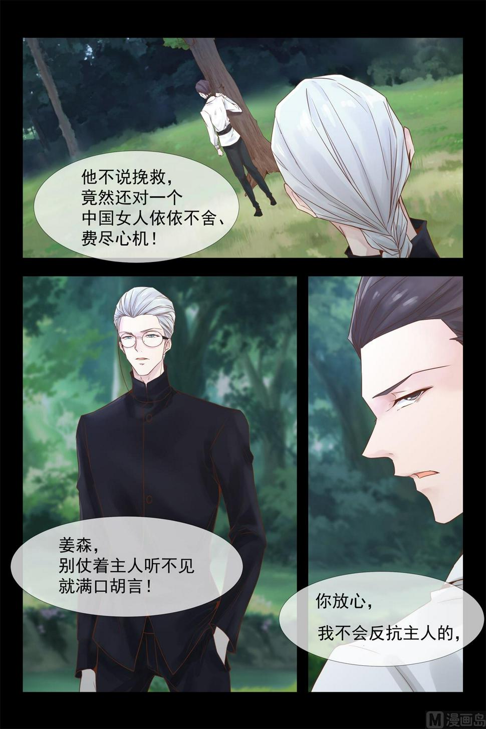 把少帅夫人找回来3