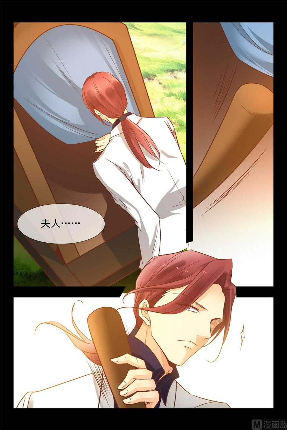 蓝花楹跑了？11