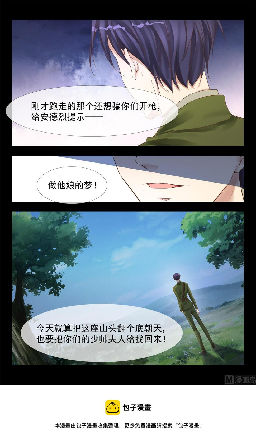 把少帅夫人找回来16