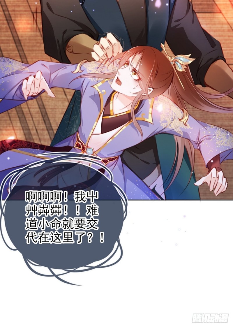 005 小命即将不保40