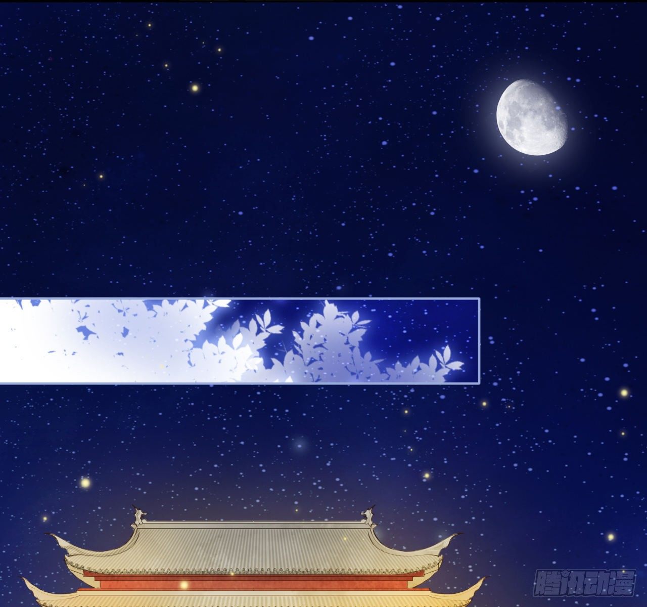 006 盛世白莲花65