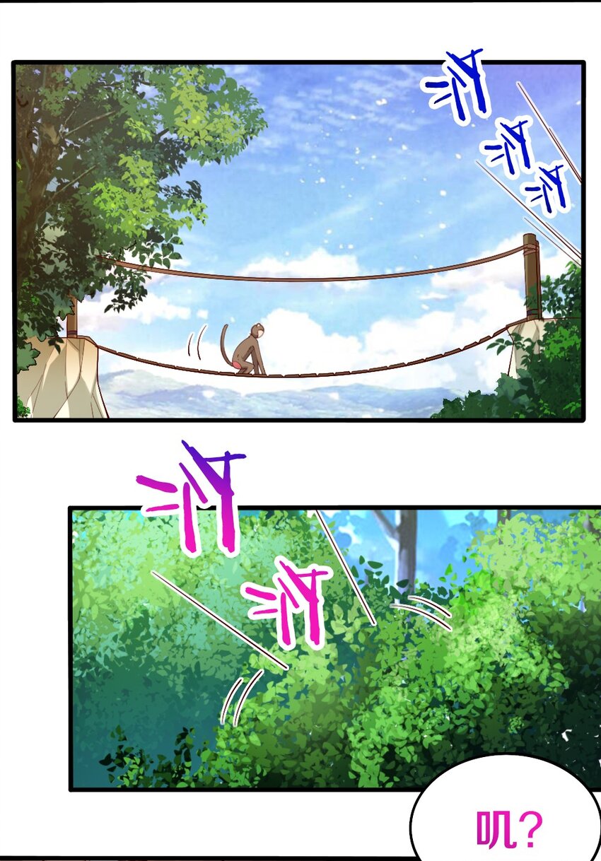 031 耍猴55