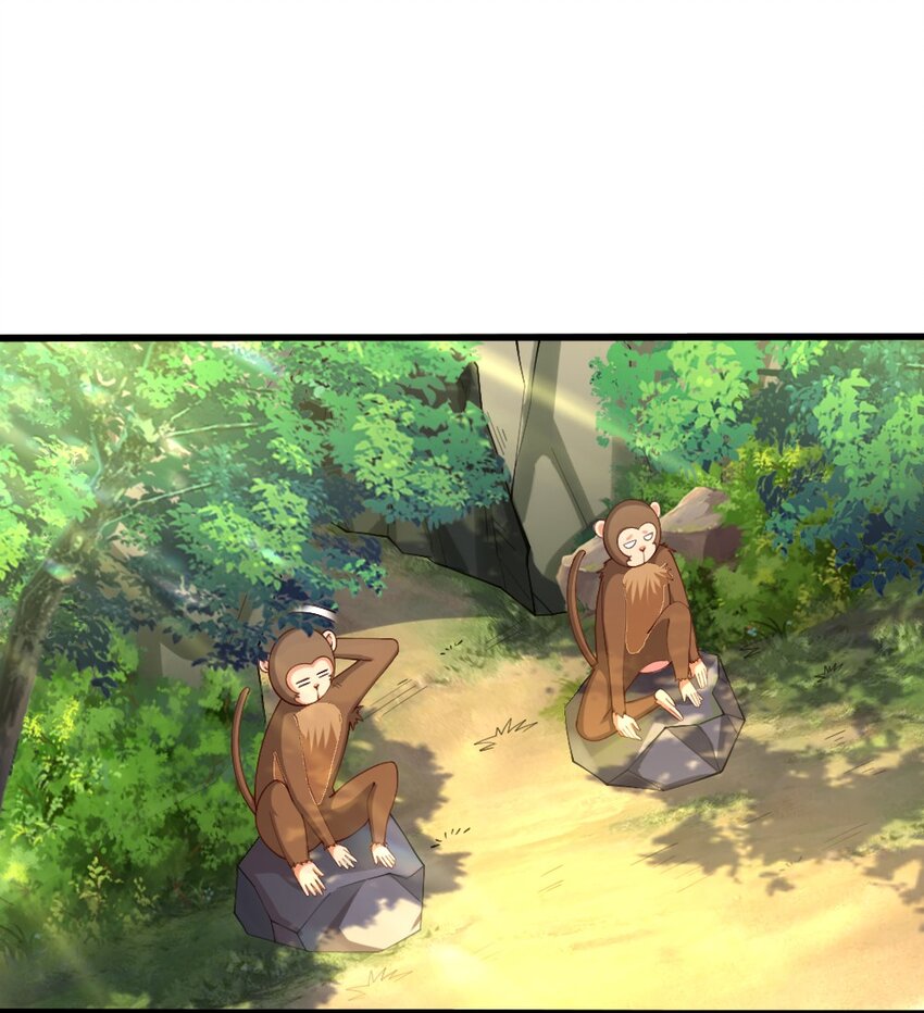 031 耍猴42