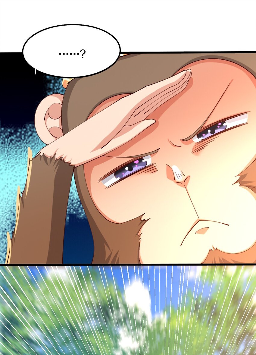 031 耍猴48