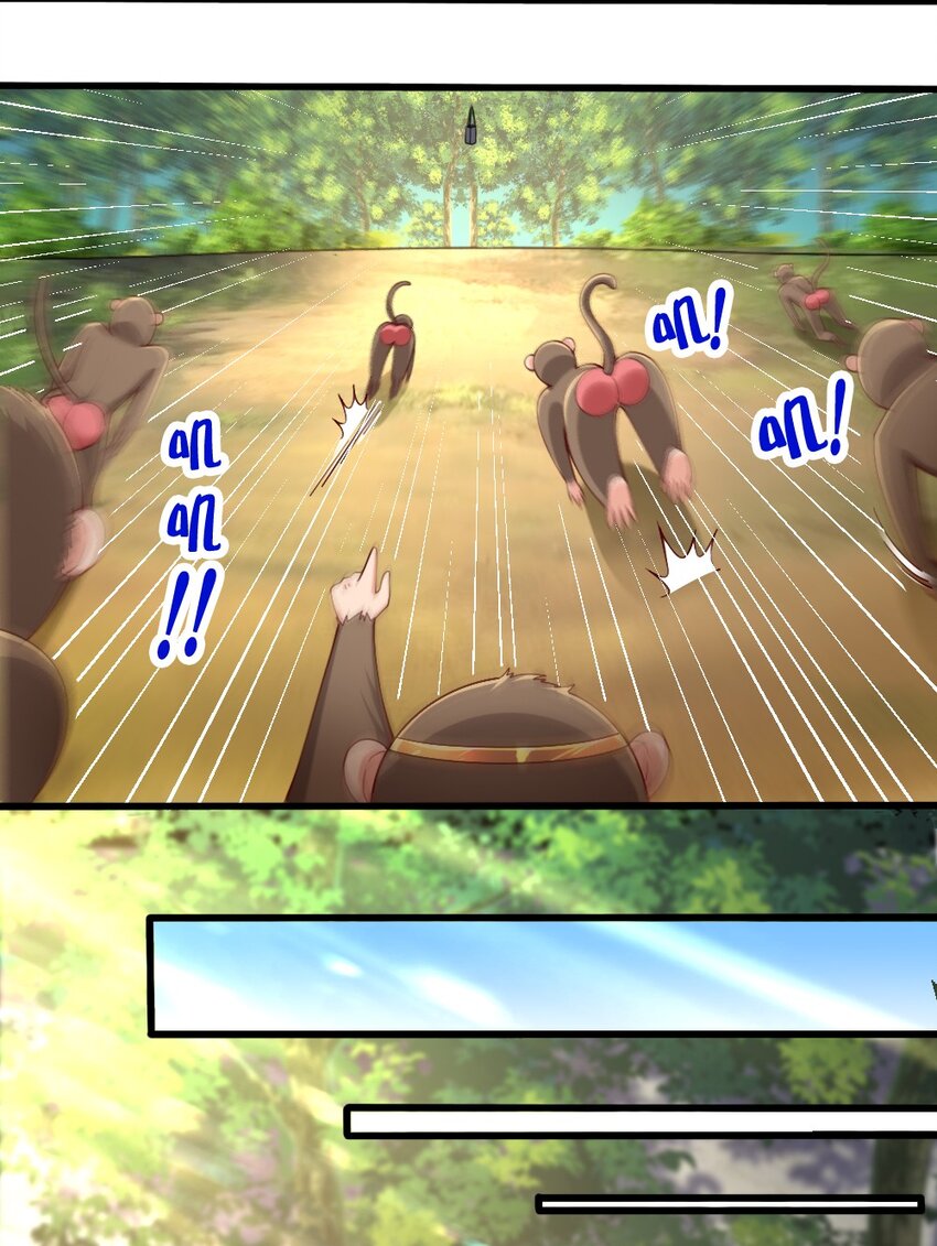 031 耍猴51