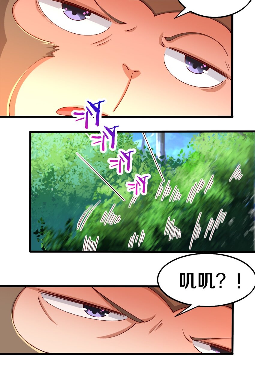 031 耍猴56