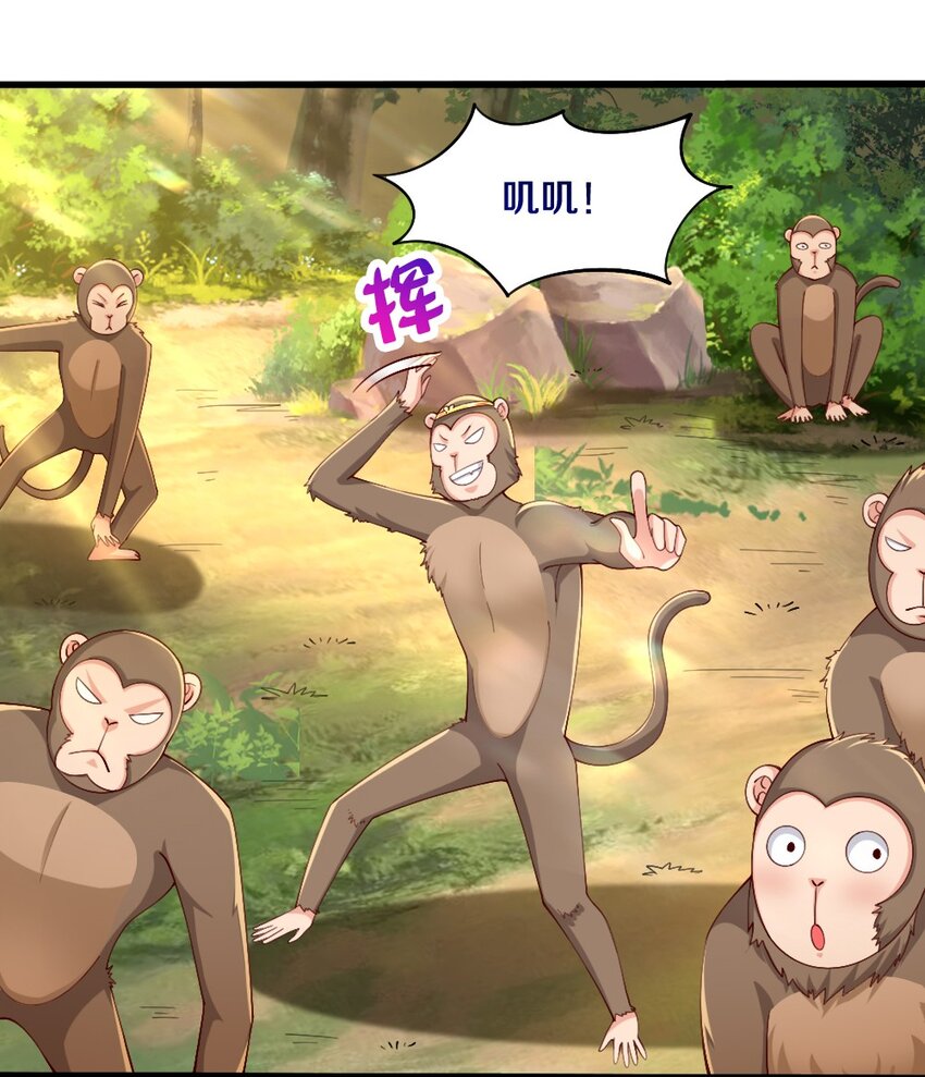 031 耍猴50