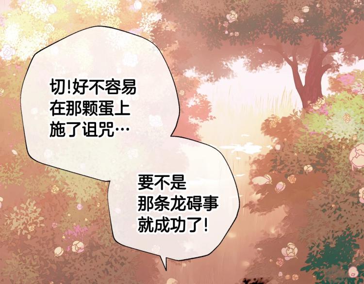 第17话 见到艾莫！3
