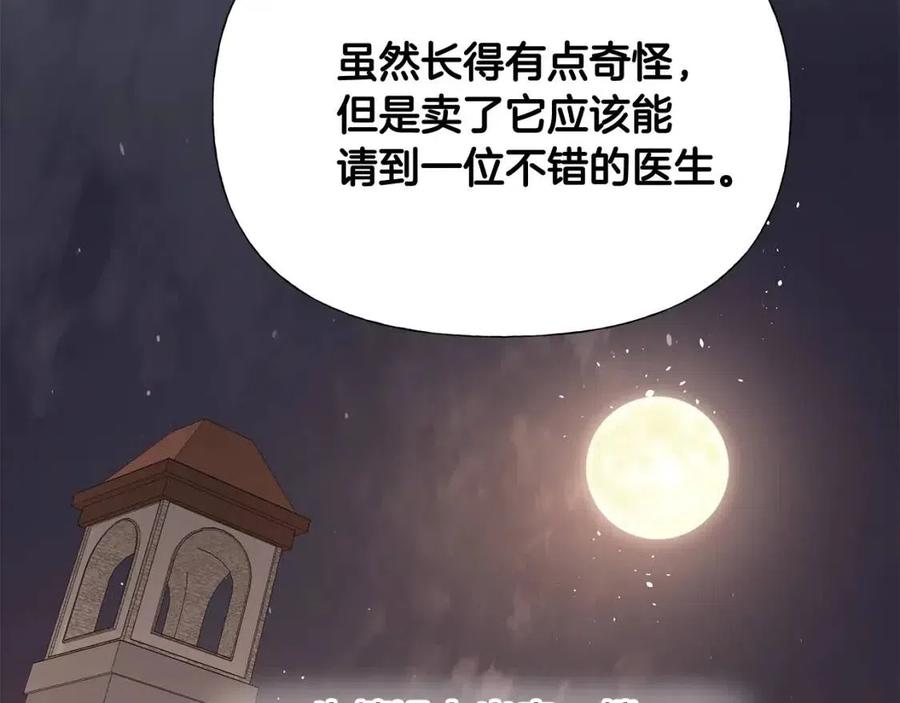 第38话 真正的皮衣9