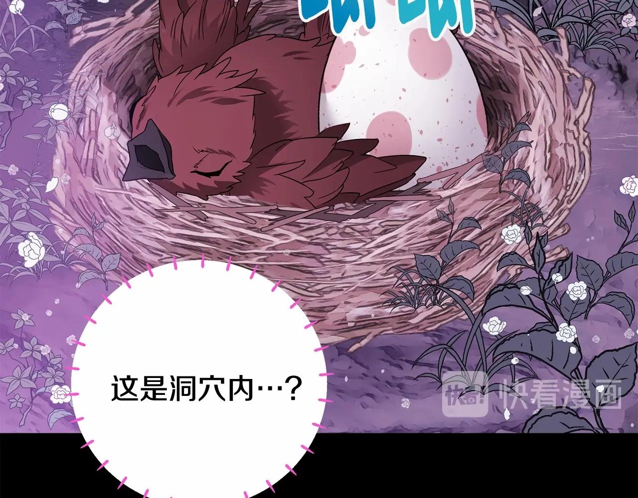 第13话 发誓守护您1