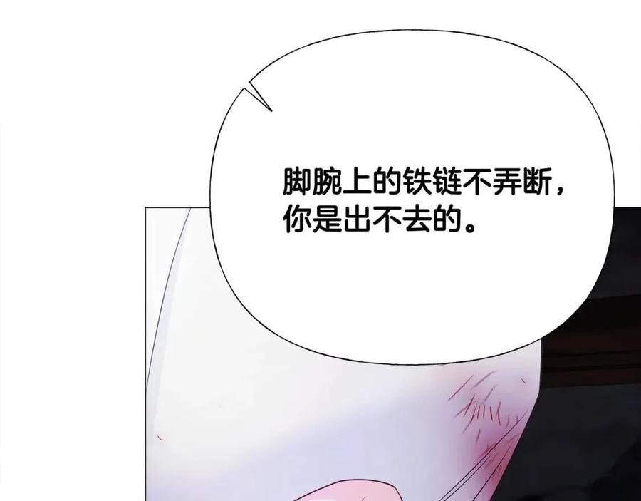 第52话 拯救46