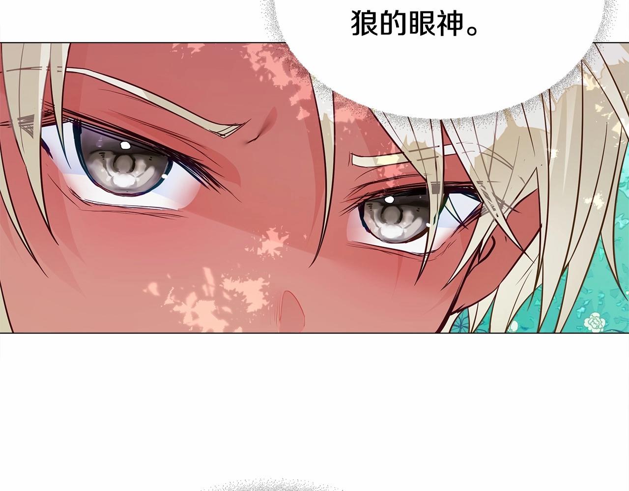 第2季·启 暴躁黑皮上线126