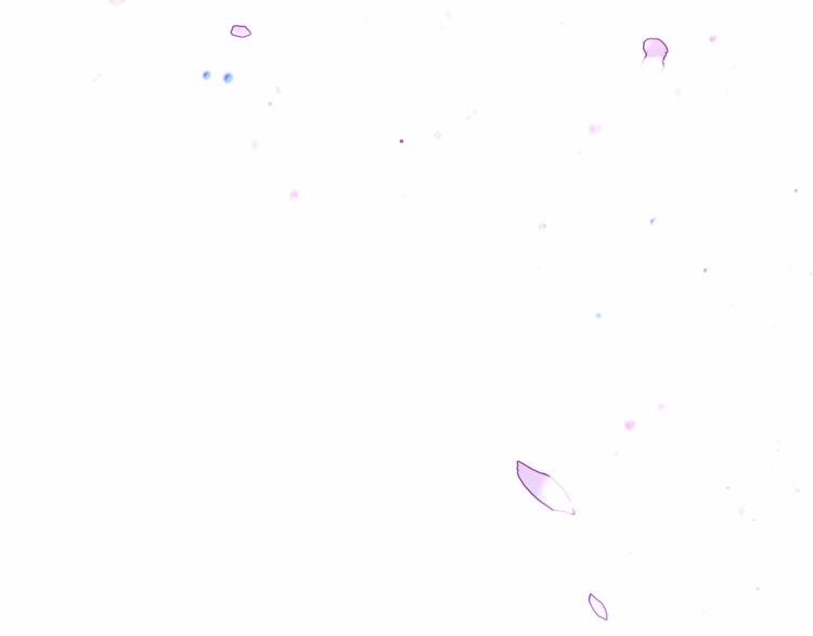 第5话 和第二个爸爸见面（2）26