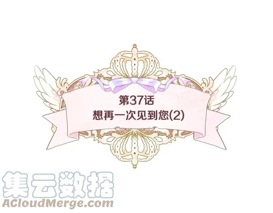 第37话 夜市12