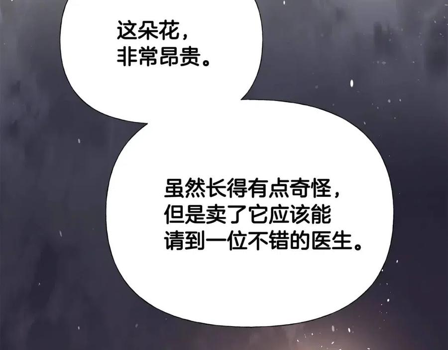第37话 夜市203