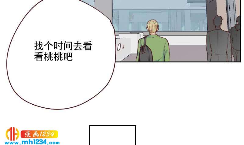 第49话 去见桃桃吧33