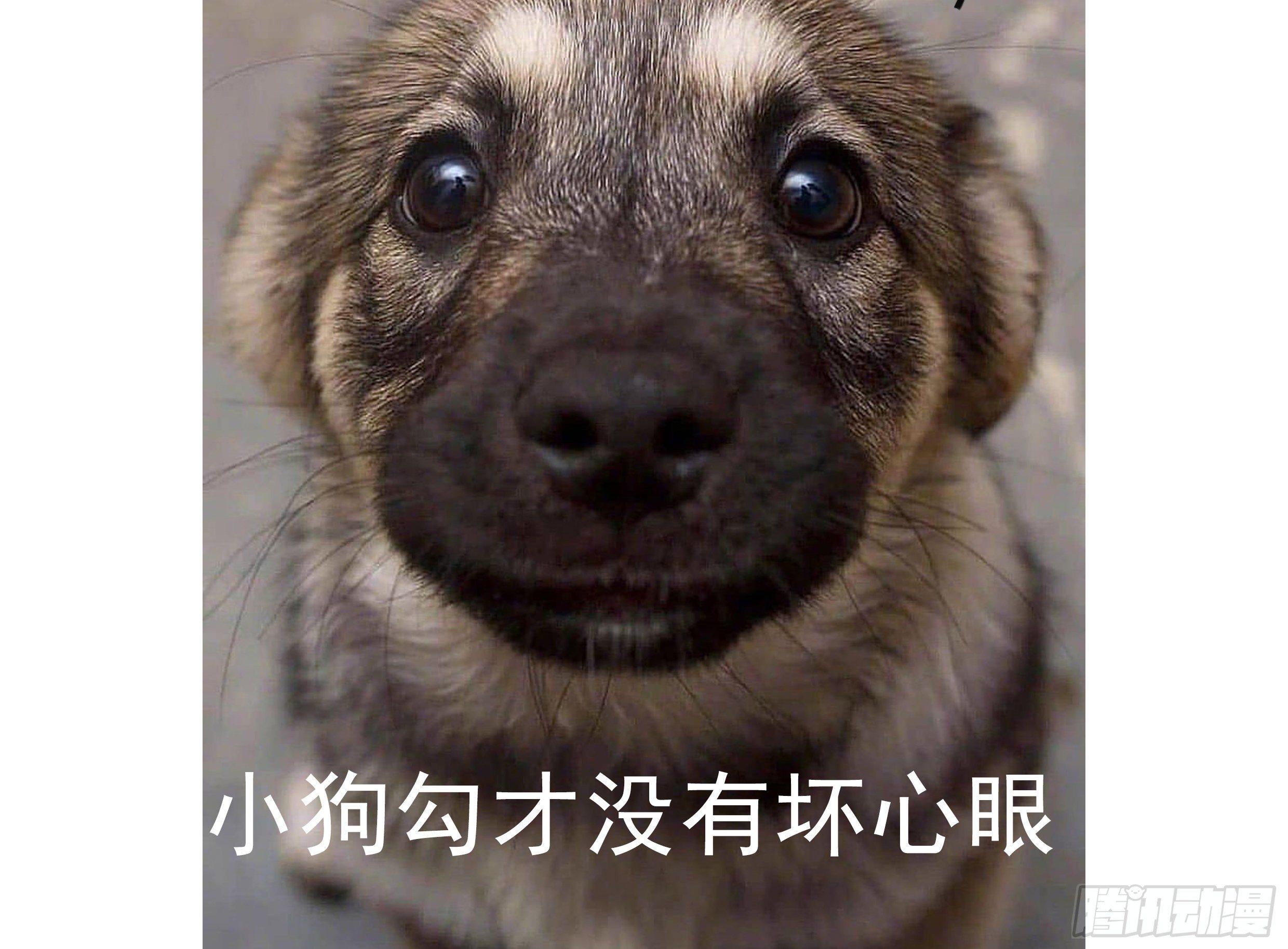 30. 敌意60