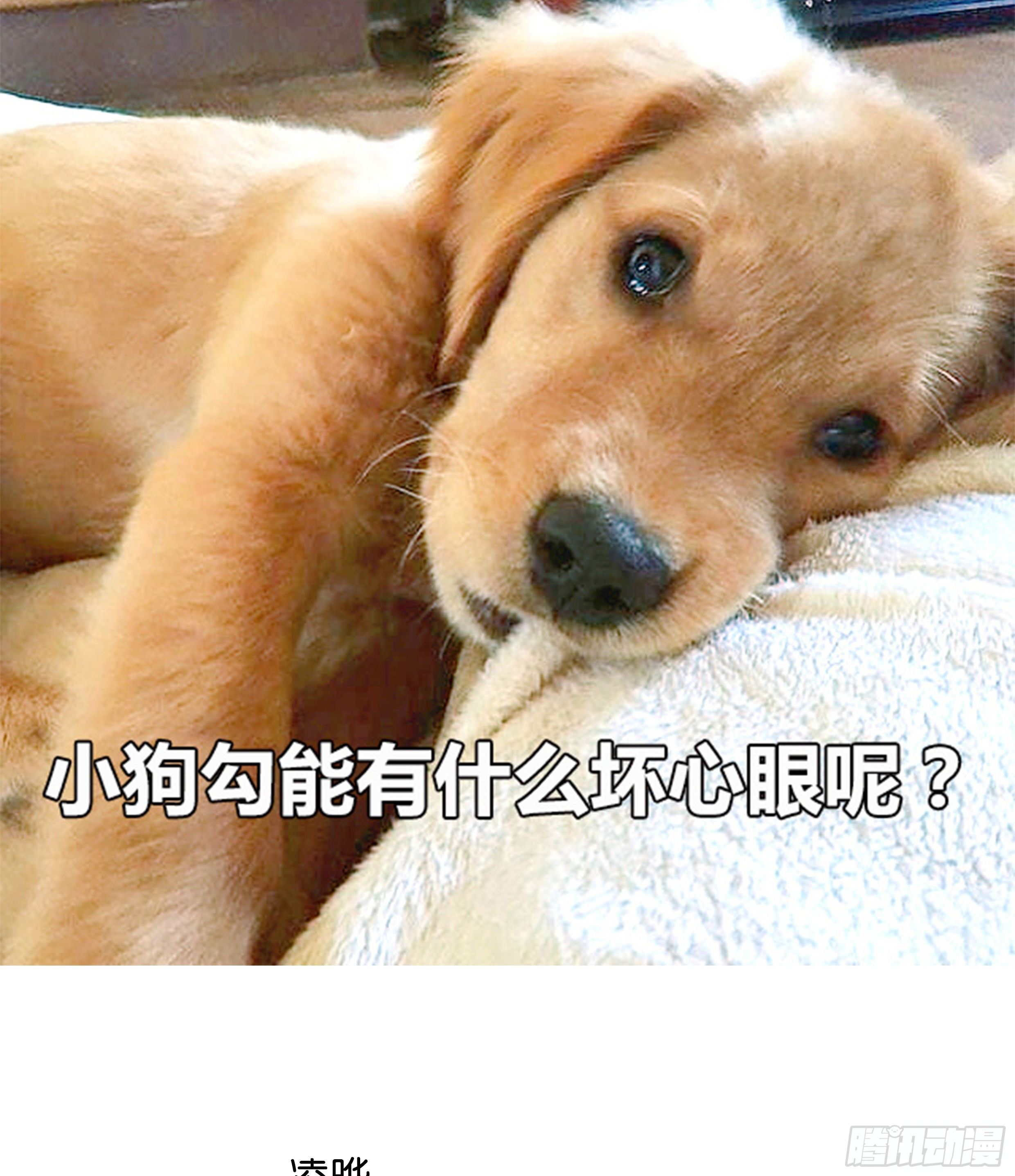 21. 月光下的秘密73