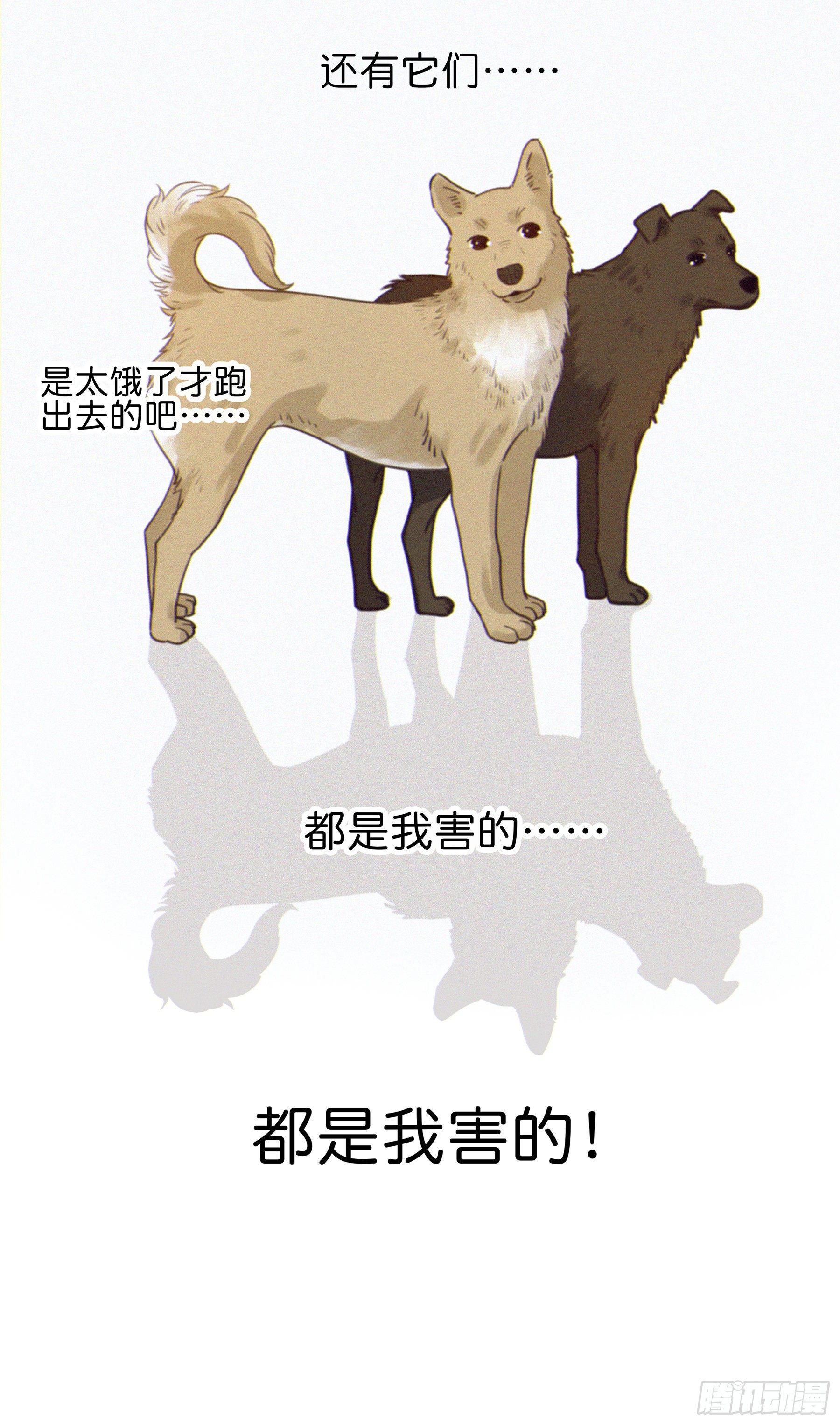 03.抉择55