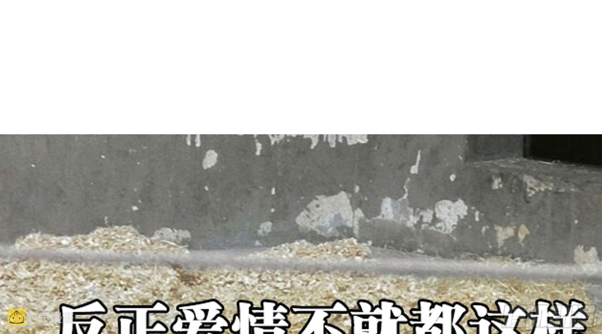 20. 雨天127