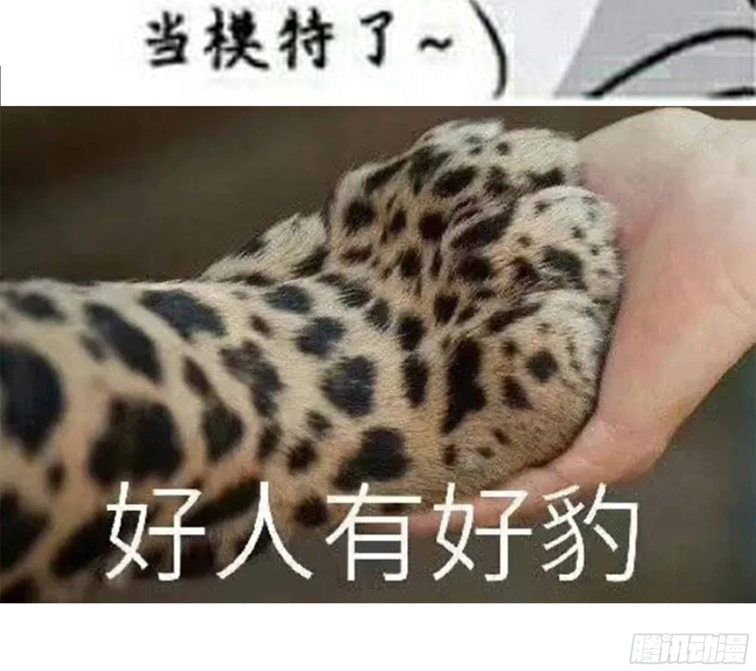 29. 给你揉一揉67